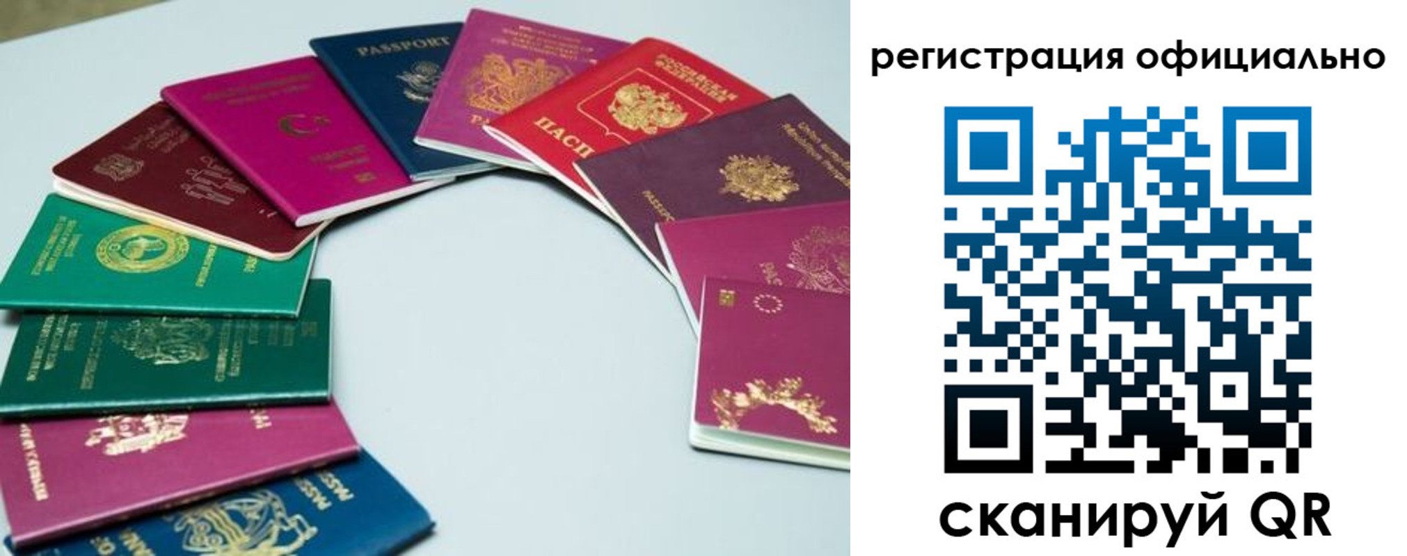 регистрация в Владимирской области